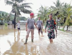 Ratusan Hektar Sawah di Baubau Terendam Banjir