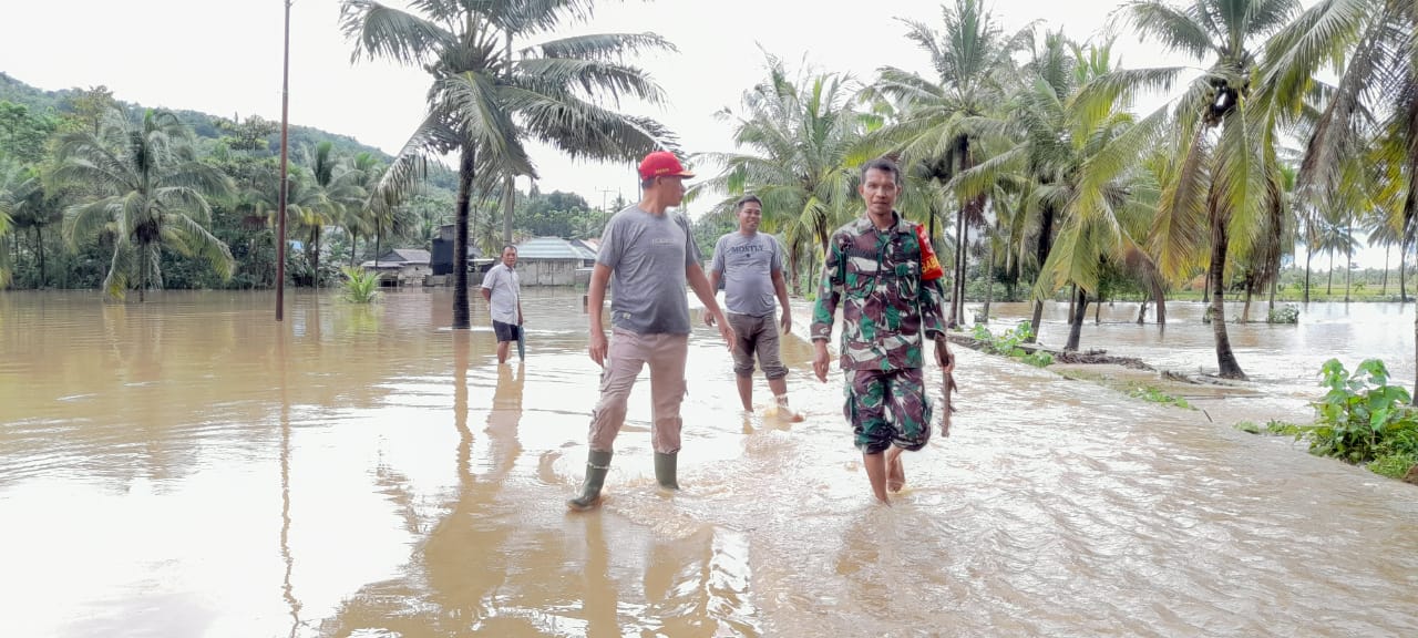 Situasi banjir di Kelurahan Waliabuku. Bukan hanya sawah, jalan pun ikut terendam banjir. (Foto: Suari)
