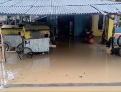 Lawele Banjir Parah, Penebang Kayu Besi Ongkang-ongkang Kaki