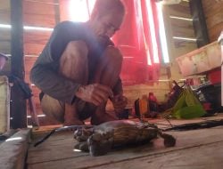 Penangkap Kepiting Ambuau Togo Terjang Paceklik