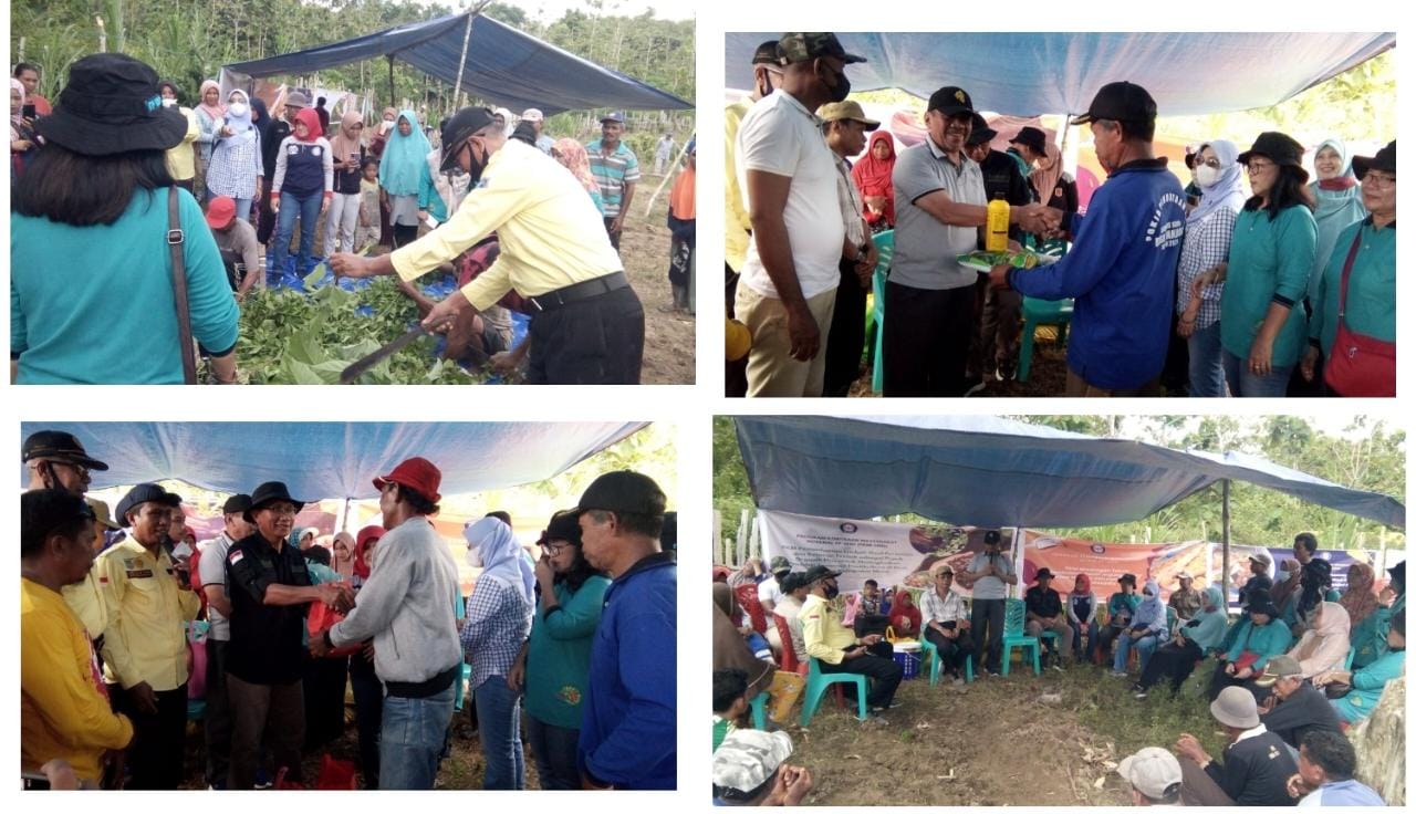 Pemberian Bantuan Pupuk organik dari Ketua Tim Pengabdian masyarakat UHO Kepada Kelompok Tani yang diterima oleh Wakil Bupati Muna Bachrun Labuta (Foto: Anuardin).