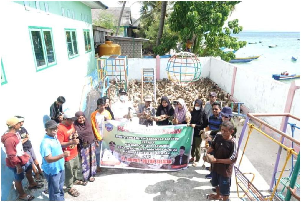 SERAHKAN BANTUAN : Sejumlah warga yang tergabung dalam kelompok tani Lakamboi Desa Waonu, Kecamatan Kadatua menerima bibit ternak itik dari Pemkab Busel. Foto Istimewa
