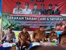 Ketahanan Pangan, Bupati Muna Mendorong Warga Tanam Cabe dan Sayur