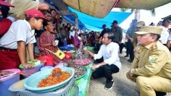 Jokowi: Bendungan Ameroro Dukung Pariwisata Wakatobi
